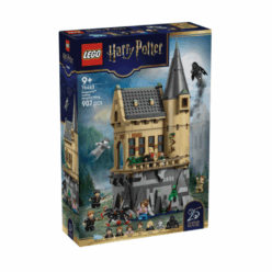 Hogwarts™ Castle: Hospital Wing